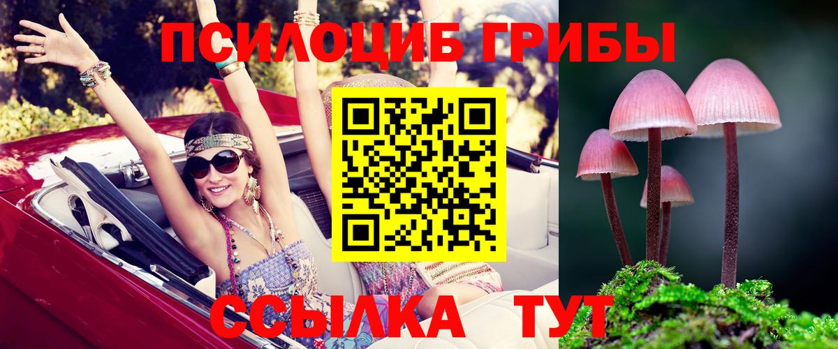 Спасск-Дальний  Псилоцибиновые грибы MAGIC MUSHROOMS  Псилоцибиновые грибы Magic Shrooms  Вход с VPN 