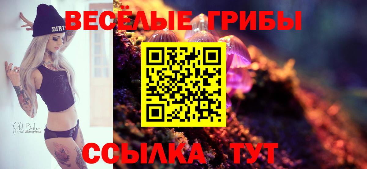 Псилоцибиновые грибы GOLDEN TEACHER Спасск-Дальний